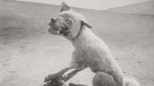 Волк и журавль Bild 1