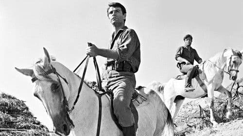 Blutendes Land Bild 6