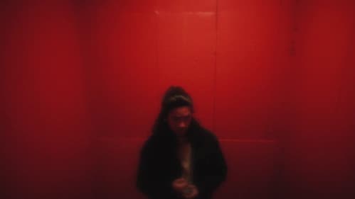 Max et les Étranges Bild 4