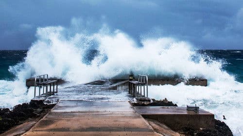 Die Sturmjäger Bild 4