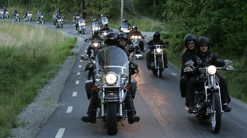 Schwedisch für Fortgeschrittene Bild 3