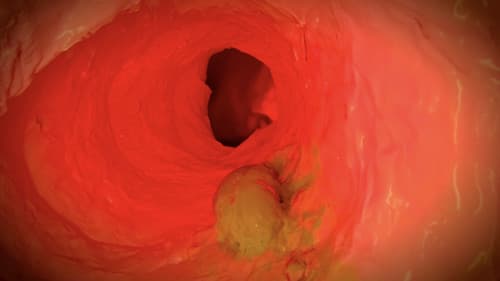 Immaculate Perception Bild 4