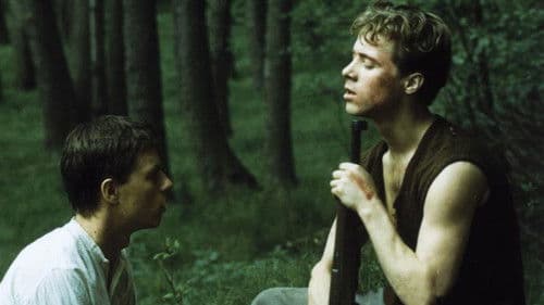 Stín kapradiny Bild 3