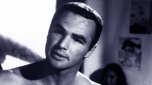 Operation C.I.A. Bild 2