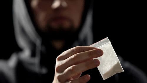 Drogen im Visier Bild 1