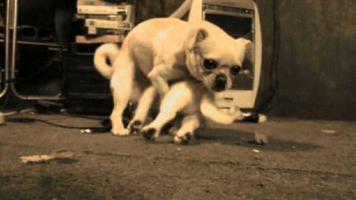 El mate amargo Bild 3