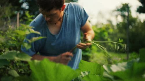 Talk to Me in Silence Bild 3