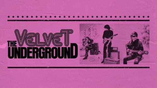 The Velvet Underground Bild 2
