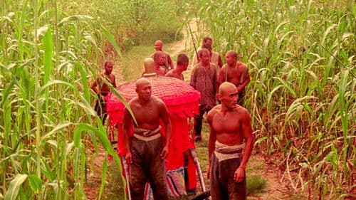 Rotes Kornfeld Bild 7