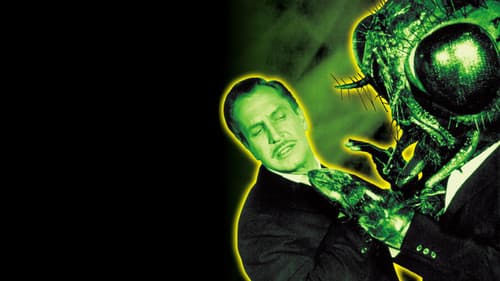 Die Rückkehr der Fliege Bild 3