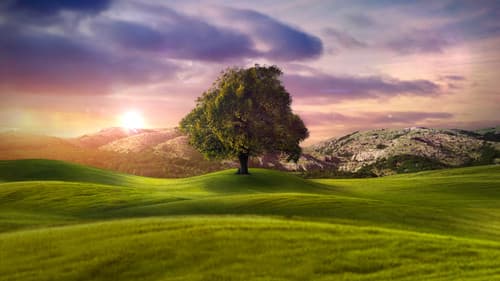 Who Do You Think You Are? Bild 2