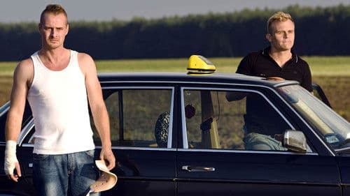 Skrzydlate świnie Bild 2