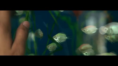 Сарны гөлөг Bild 4