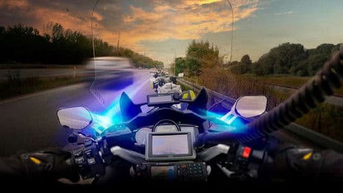 Vanvidsbilisterne Bild 1