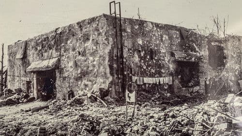 1st to Fight: Pacific War Marines Bild 2