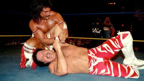 WCW SuperBrawl IV Bild 3