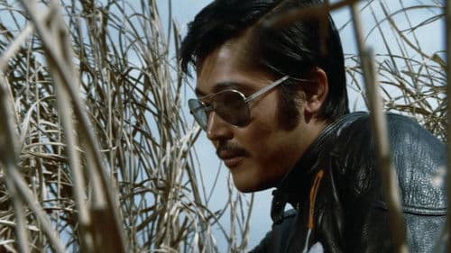 不良番長 のら犬機動隊 Bild 5