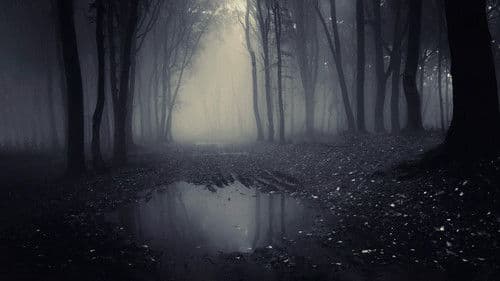 A Lenda do Homem Pássaro Bild 1