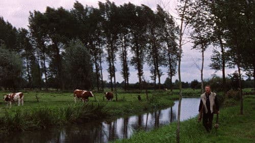 Vincent van Gogh - Ein Leben in Leidenschaft Bild 6