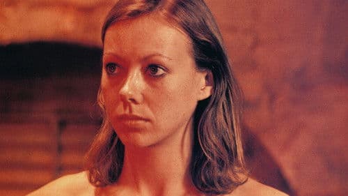 Equus - Blinde Pferde Bild 5