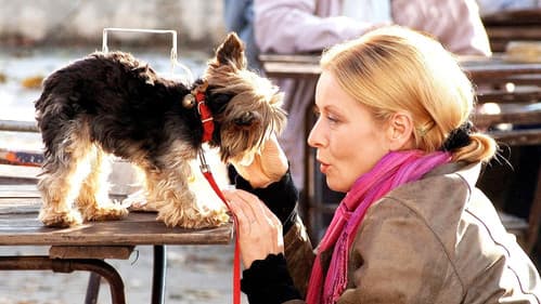 Zastřený hlas Bild 7