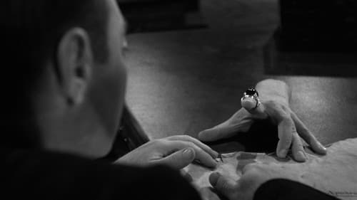 Die Bestie mit den fünf Fingern Bild 7