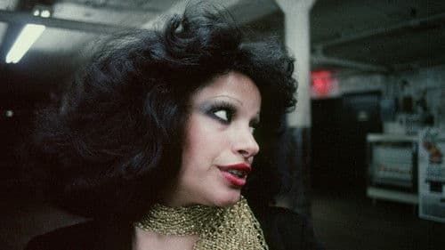 Midnight Desires Bild 4