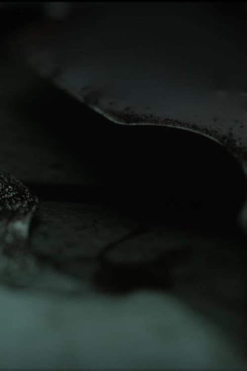 To Those Who Speak Waves