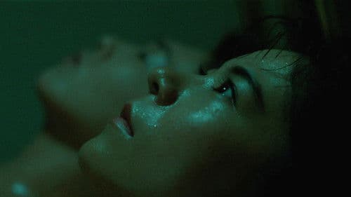 Turtle Vision Bild 5