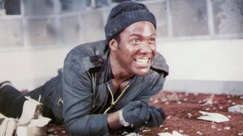 Der Diamanten-Clou Bild 1