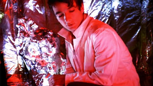 Visionary Iraq Bild 1