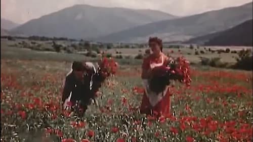 ჭრიჭინა Bild 1