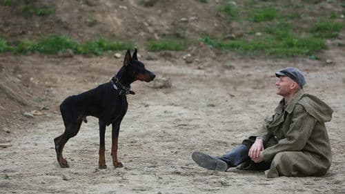 Дина и Доберман Bild 3