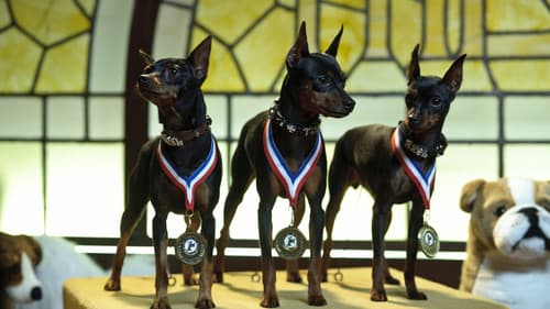 Marley & Ich 2 - Der frechste Welpe der Welt Bild 7