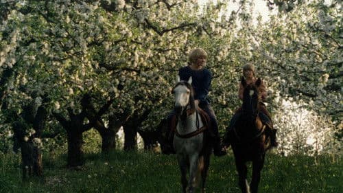 Die Brüder Löwenherz Bild 5