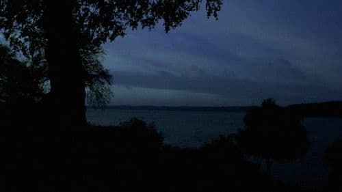 Duer Skal Flyve Frit I Himlen Bild 3