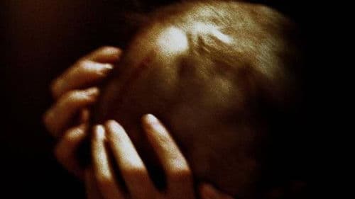 Mémoire morte Bild 1