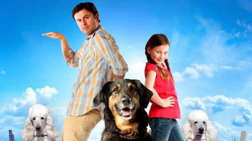 I Heart Shakey Bild 2