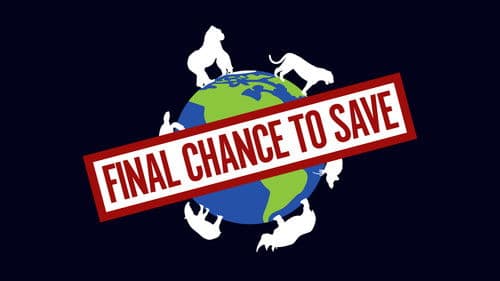 Final Chance to Save Bild 1