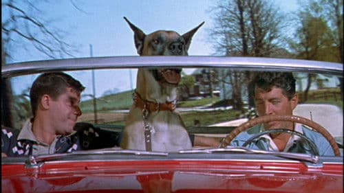 Alles um Anita Bild 4