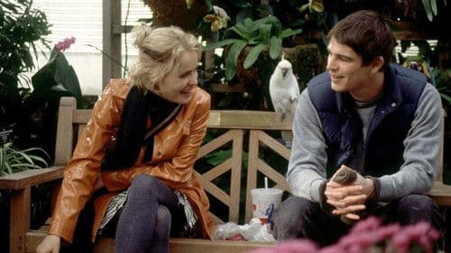 Mozart und der Wal Bild 7