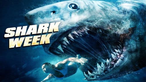 Shark Week - 7 Tage, 7 Haie Bild 3