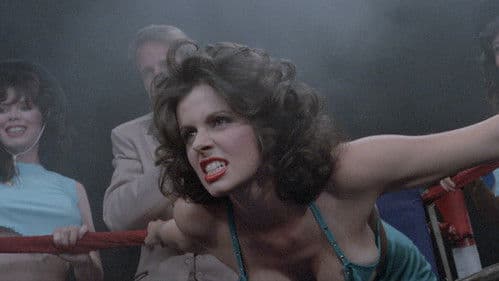 Stiff Competition Bild 2