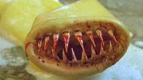 Kondom des Grauens Bild 6