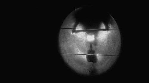 Two Years at Sea Bild 3