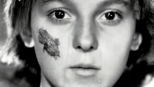 La Petite Aurore, l'enfant martyre Bild 1