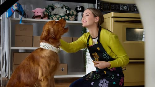 Everything Puppies Bild 2