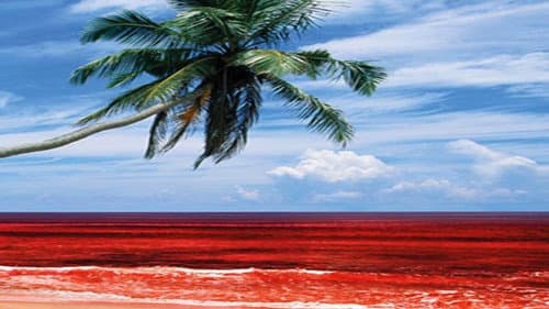 Sri Lanka's Killing Fields Bild 1