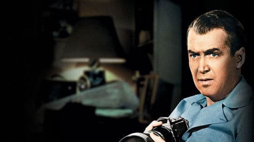 Das Fenster zum Hof Bild 2