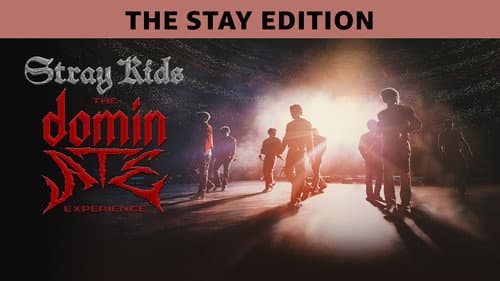 Stray Kids: The dominATE Experience Bild 5